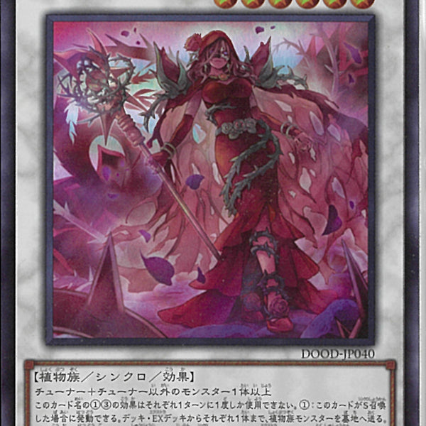 SR)黒薔薇と荊棘の魔女