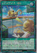 SE)はじめてのネコ探し