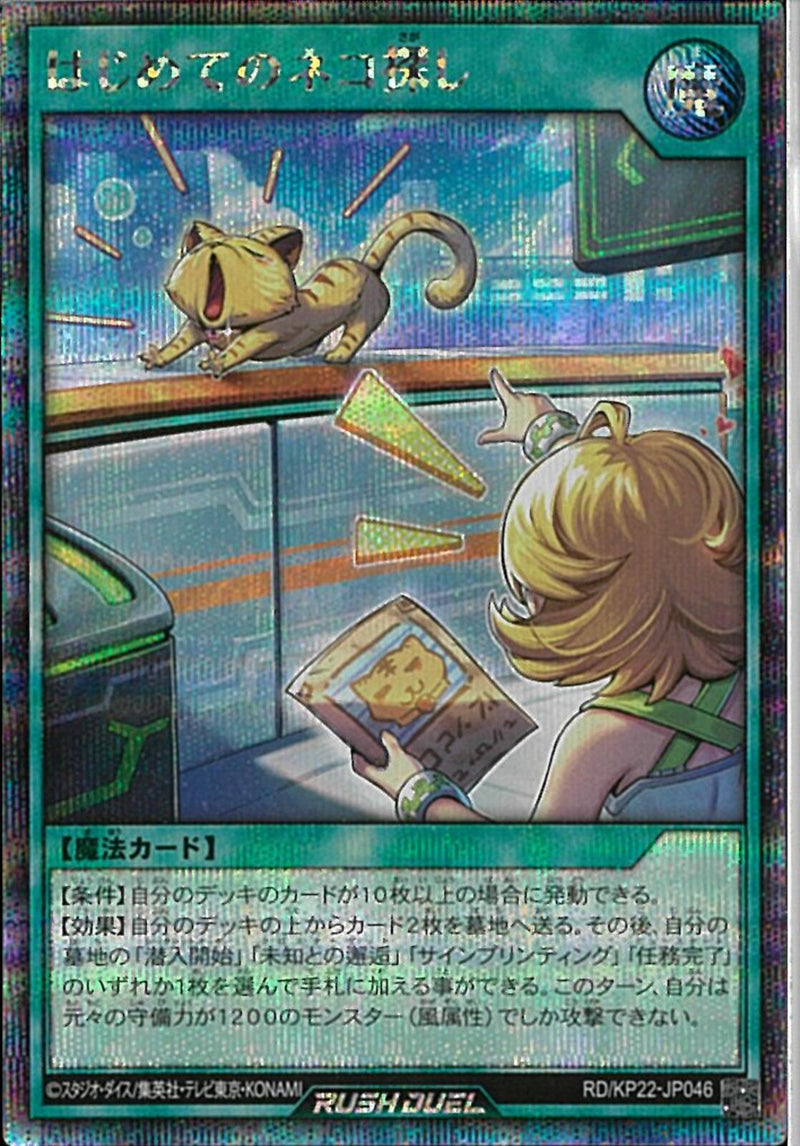 SE)はじめてのネコ探し