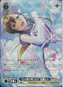 ”君の夢が輝くなら”花園たえ(BD/WE49-53)BDR