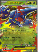 RR)メガヘラクロスex(004/080)