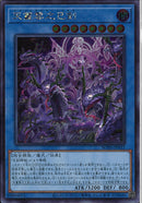 SE)天叢雲之巳剣)(シークレットレア)/WPP6-JP033)