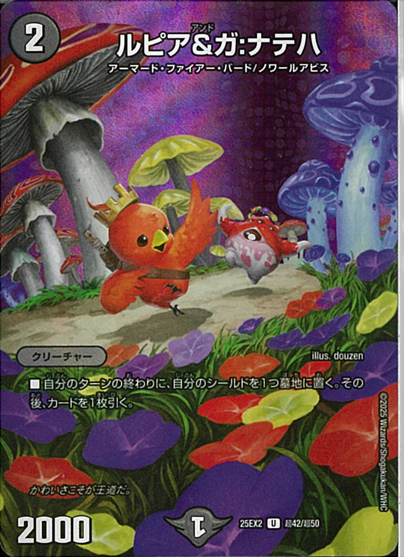 U)ルピア＆ガ：ナテハルピアアンドガナテハ25EX2UT42/T50(U)