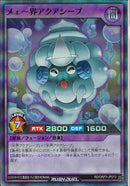 SR)メェ～界アクアシープ