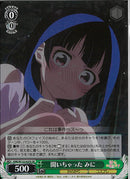 聞いちゃった　みに(W132-025)SR