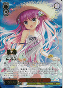 昼の花火　うみ(WE50-38)PRR