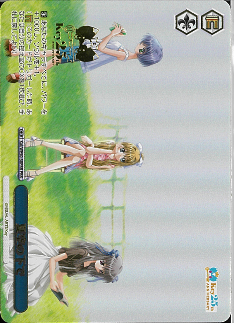 夏空の下で(WE50-58)PRR