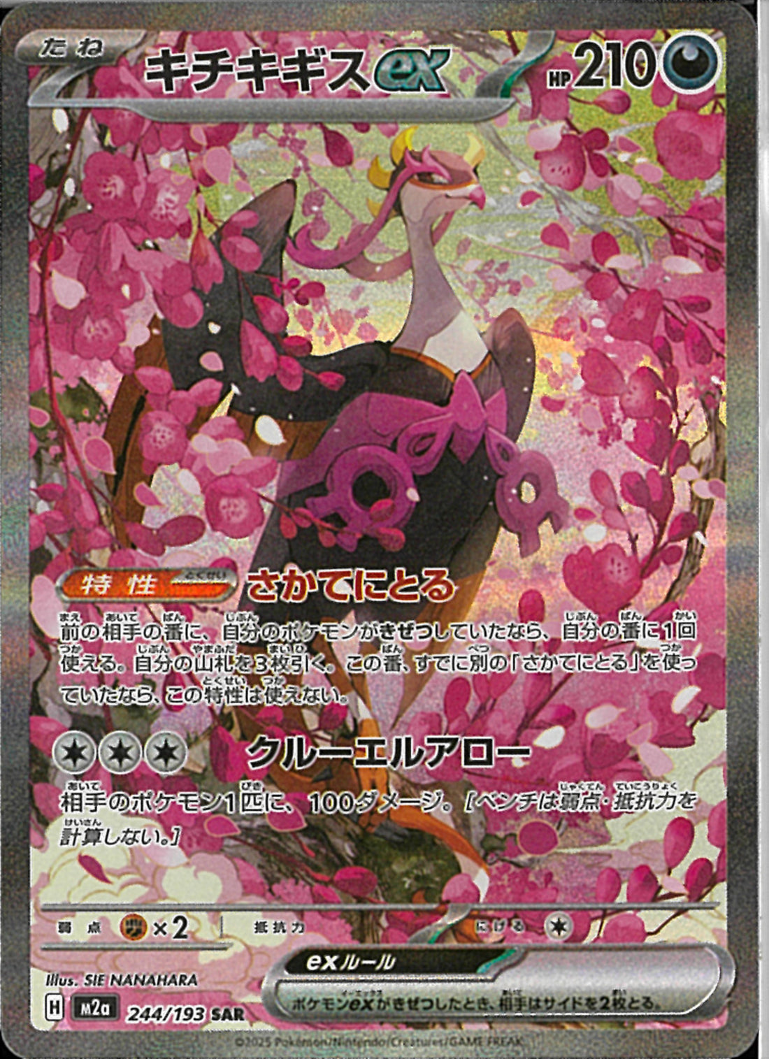 SAR)キチキギスex(244/193)