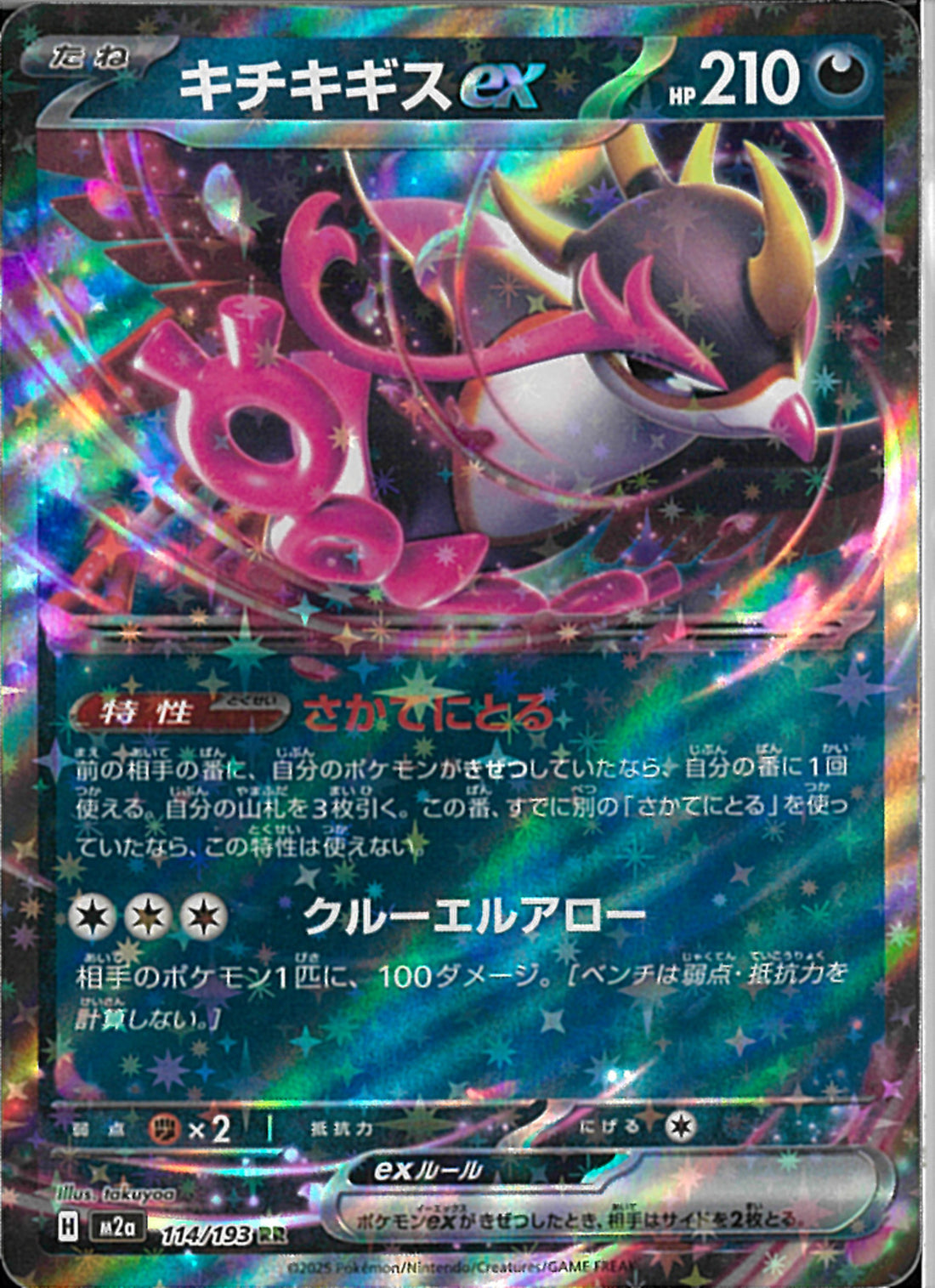 RR)キチキギスex(114/193)