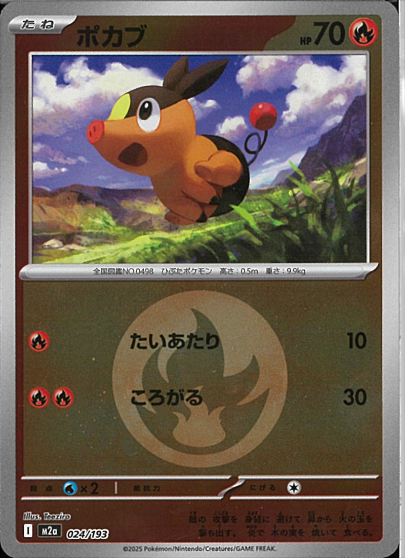 ポカブ(024/193/エネルギーミラー)