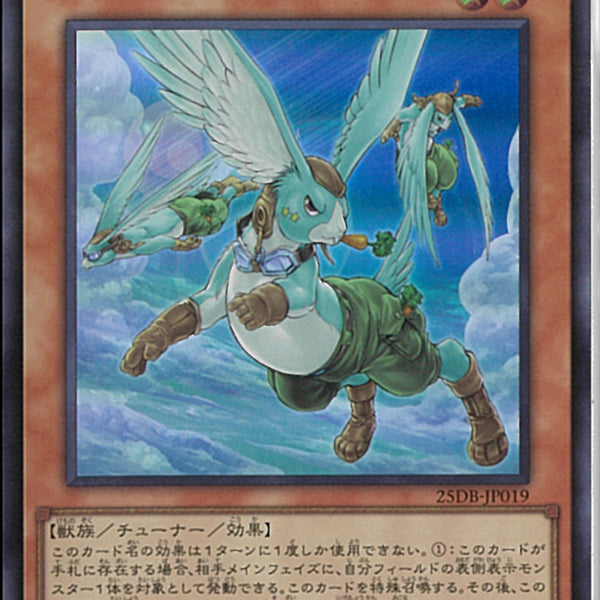 SR)ホップ・イヤー飛行隊