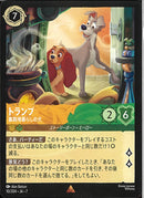 トランプ　裏路地暮らしの犬(10/204JA7)R