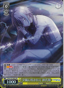 夕風に吹かれて　神代類(S125-003)SR