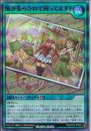 SR)畑が荒らされて困ってます！