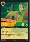 トランプ　ちょいワル犬(22/204JA8)SR