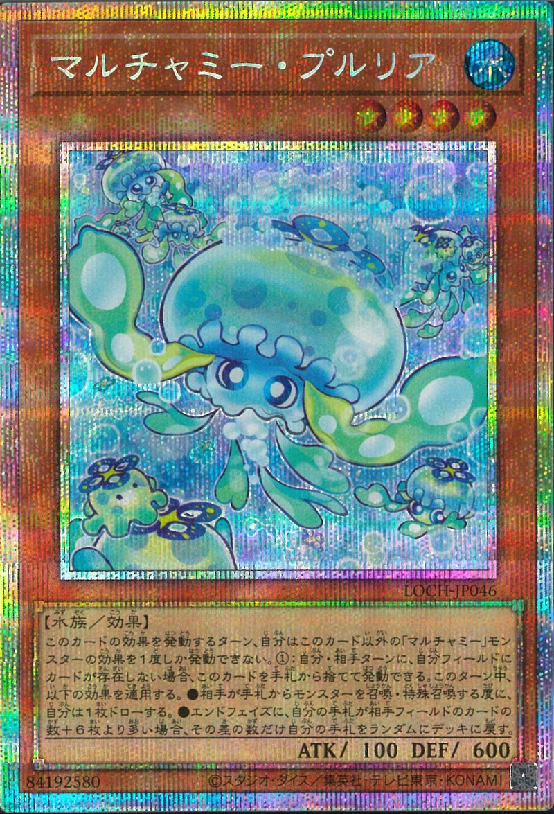 PSE)マルチャミー・プルリア