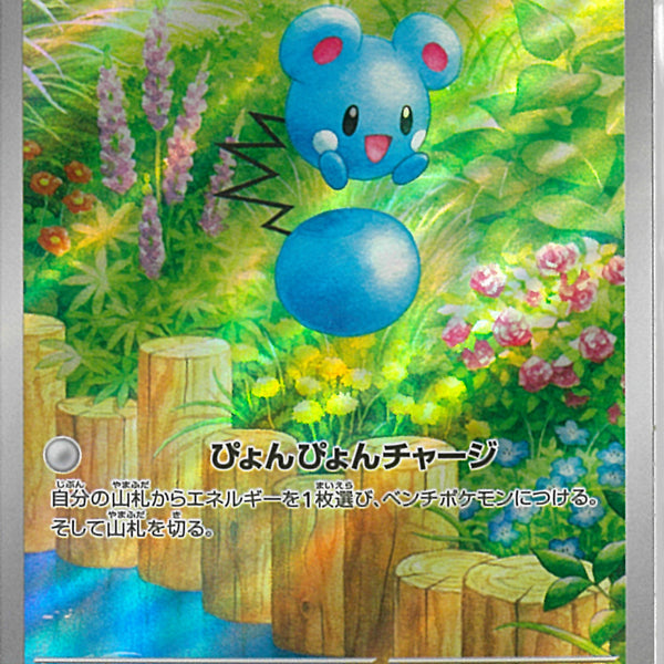 ポケモンウィークリーカード No.13 ルリリのデビュー戦！ ポケモンウィークリーカード No.13 ルリリのデビュー戦！ The Pokemon